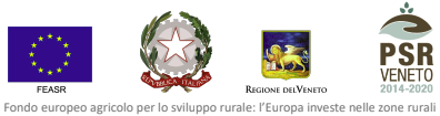 psr-veneto